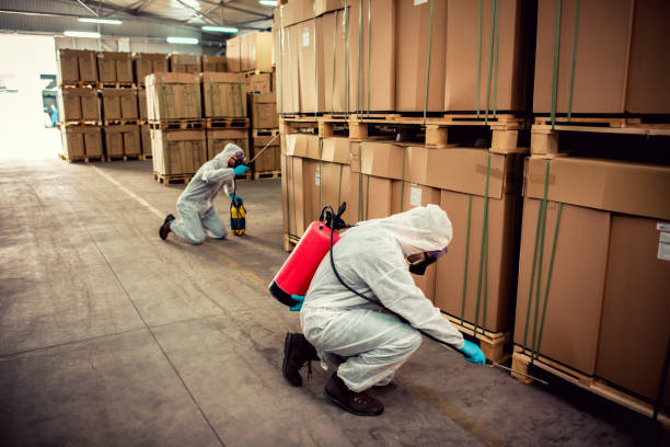 Best Bed Bug Extermination  in Brogden, NC