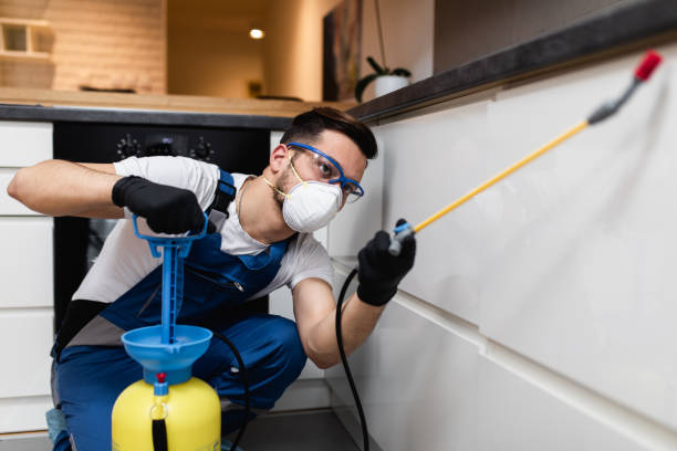 Best Commercial Pest Control Services  in Brogden, NC