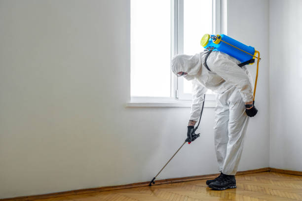 Best Exterminator Services  in Brogden, NC
