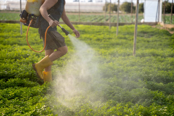 Best Exterminator Services  in Brogden, NC