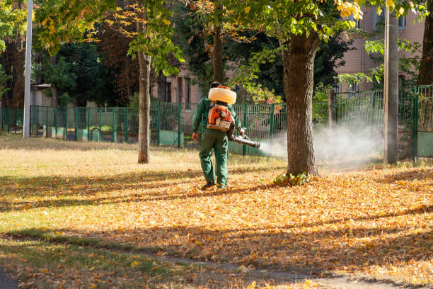 Trusted Brogden, NC Pest Control Experts