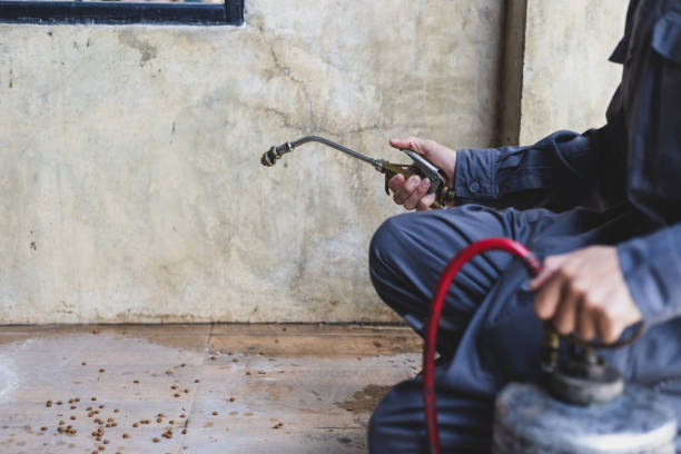 Best Pest Prevention Services  in Brogden, NC